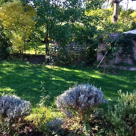 Lenas Gartenwohnung *